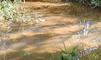 Imagem 7: Fazenda à venda no bairro Zona Rural Paranaíba/MS