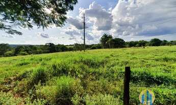 Imagem 4: Fazenda à venda no bairro Zona Rural Paranaíba/MS