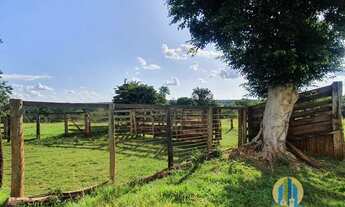 Imagem: Fazenda à venda no bairro Zona Rural Paranaíba/MS