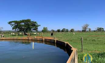 Imagem: Linda Fazenda/MS