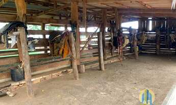 Imagem 4: Linda Fazenda/MS