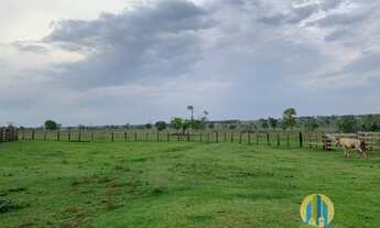 Imagem 7: Linda Fazenda/MS