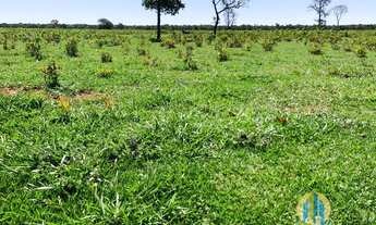 Imagem 6: Linda Fazenda/MS