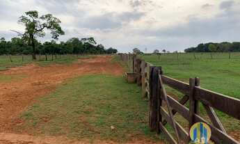 Imagem 5: Linda Fazenda/MS