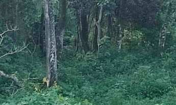 Imagem: Dois Lotes de Terreno a Venda !!