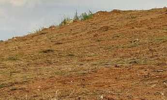 Imagem 3: Terreno a venda no suru