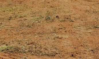 Imagem 2: Terreno a venda no suru