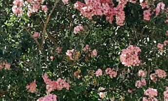 Imagem: Sobrado à venda no bairro Jardim São Luís