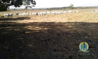 Imagem 7: Fazenda à venda no bairro Centro em Minaçu/GO