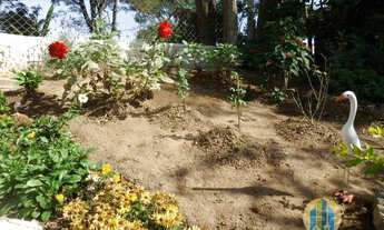 Imagem 5: Chácara á venda !