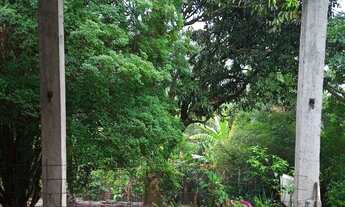 Imagem 7: Chácara á venda !