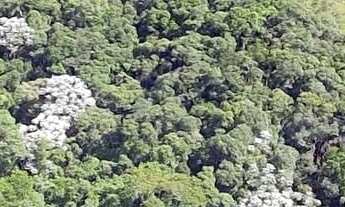 Imagem 6: Terreno à venda no bairro Chácaras São Luís - Santana de Parnaíba/SP