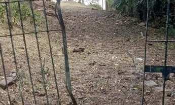 Imagem: Terreno á Venda em São Roque !