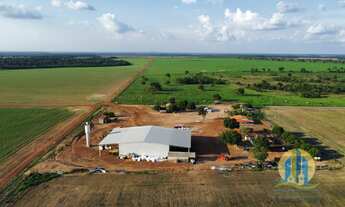 Imagem: Fazenda à venda no bairro Centro - São