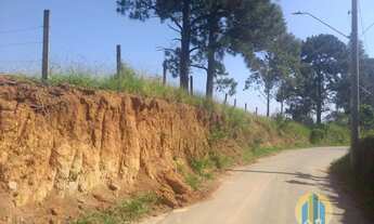 Imagem 4: ÁREA Á VENDA Terreno / lote com venda por R$3.500.000