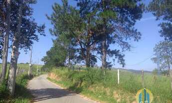 Imagem 6: ÁREA Á VENDA Terreno / lote com venda por R$3.500.000