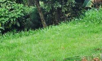 Imagem: Terreno à venda no bairro Polvilho - Cajamar/SP