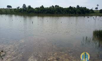 Imagem 3: Fazenda à venda em Cassilândia/MS