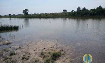 Imagem 7: Fazenda à venda em Cassilândia/MS