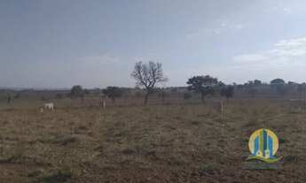Imagem 4: Fazenda à venda em Cassilândia/MS