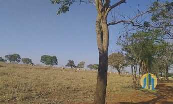 Imagem 6: Fazenda à venda em Cassilândia/MS