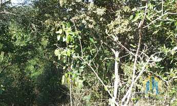 Imagem 6: Terreno em Pirapora do Bom Jesus/SP