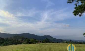 Imagem 5: Lindo Sítio à Venda