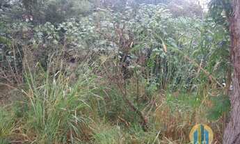 Imagem 4: Terreno á Venda em Barueri / SP