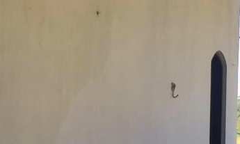 Imagem 6: Grande Oportunidade!, 2 dormitórios, 1 banheiros, 1480M² de Área Construída, 1480M² de Áre