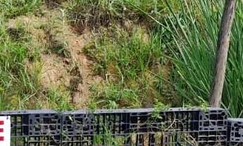 Imagem 1: Terreno à venda no bairro Parque Mirante de Parnaíba - Santana de Parnaíba/SP