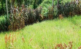 Imagem: Terreno para alugar no bairro Voturuna