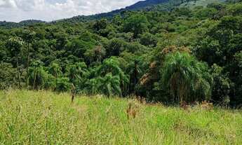 Imagem 4: Terreno para alugar no bairro Voturuna - Santana de Parnaíba/SP