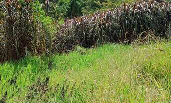 Imagem 5: Terreno para alugar no bairro Voturuna - Santana de Parnaíba/SP