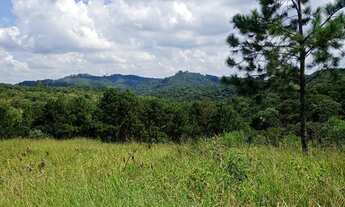 Imagem 7: Terreno para alugar no bairro Voturuna - Santana de Parnaíba/SP