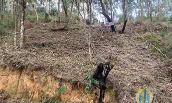 Imagem 3: Excelente terreno, 700M² de Área Construída, 700M² de Área Total