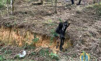 Imagem: Excelente terreno, 700M² de Área Construída