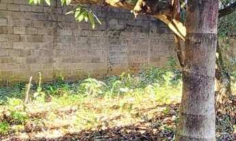 Imagem 4: Chacara limpa em avenida Mogi Mirim