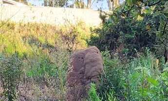 Imagem 5: Chacara limpa em avenida Mogi Mirim