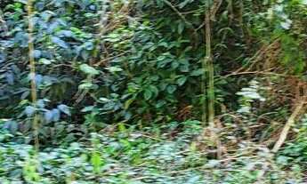 Imagem 3: Chacara limpa em avenida Mogi Mirim