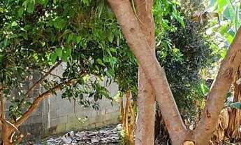 Imagem 3: Casa Padrão no bairro tucura