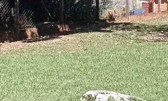 Imagem 6: Chácara São Marcelo Mogi Mirim SP