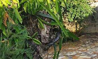 Imagem 3: Imóvel Comercial e residencial