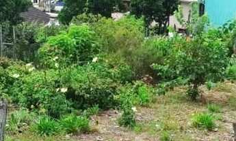 Imagem 6: Terreno à venda no bairro Esplanada - Caxias do Sul/RS