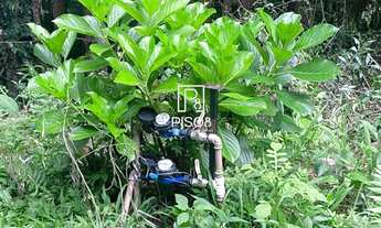 Imagem 7: Chácara à venda no bairro Desvio Rizzo - Caxias do Sul/RS