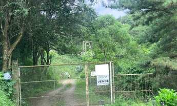 Imagem 4: Chácara à venda no bairro Desvio Rizzo - Caxias do Sul/RS