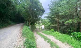 Imagem 2: Chácara à venda no bairro Desvio Rizzo - Caxias do Sul/RS