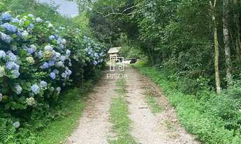 Imagem 6: Chácara à venda no bairro Desvio Rizzo - Caxias do Sul/RS