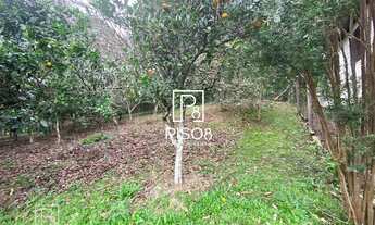 Imagem 4: Terreno pronto para construir