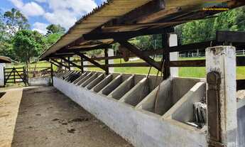 Imagem: Fazenda à Venda, 30 hectares, R$ 1,5 milhões