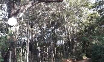 Imagem: Terreno à Venda, 1000 m2, R$ 35 mil, Baldim